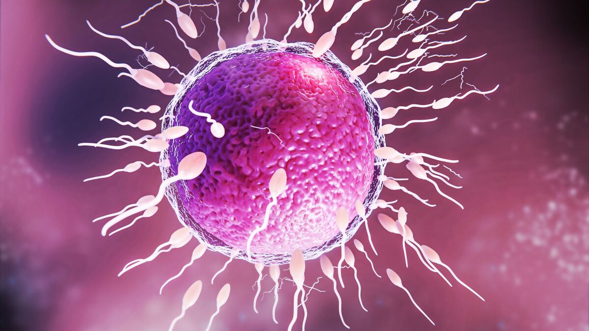 Sperm Abnormalities in Men: What They Are and How to Overcome Them