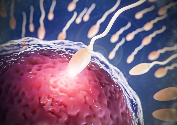 Understanding diagnosis of asthenozoospermia