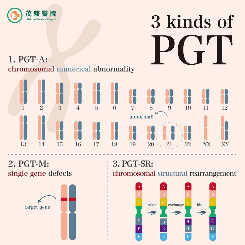 different types of Preimplantation Genetic Testing highlighting their purposes and benefits in the IVF process