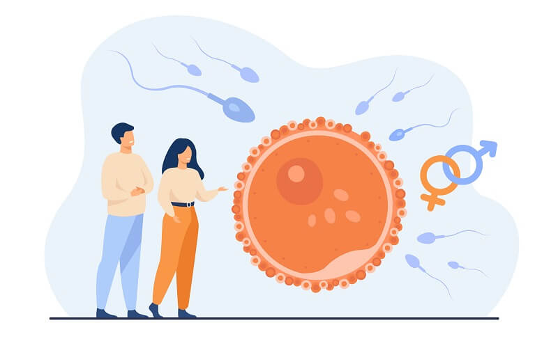 Embryo Thawing
