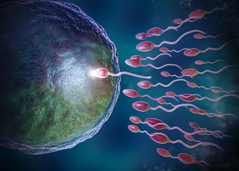 Assisted Reproductive Technologies