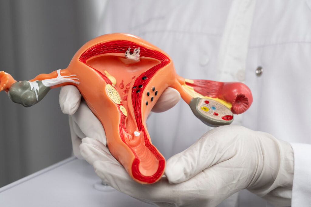 Guide to endometrial thickness for IVF treatment