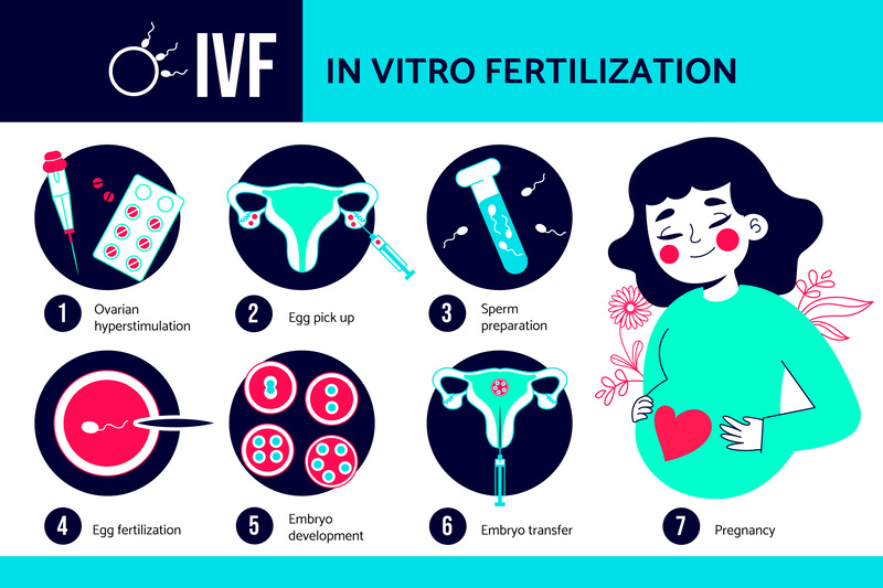 IVF Process Diagram for Infertility