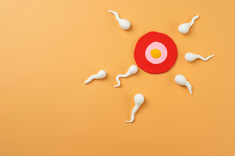 What Causes Low Sperm Count (Oligospermia) & How is it Treated?