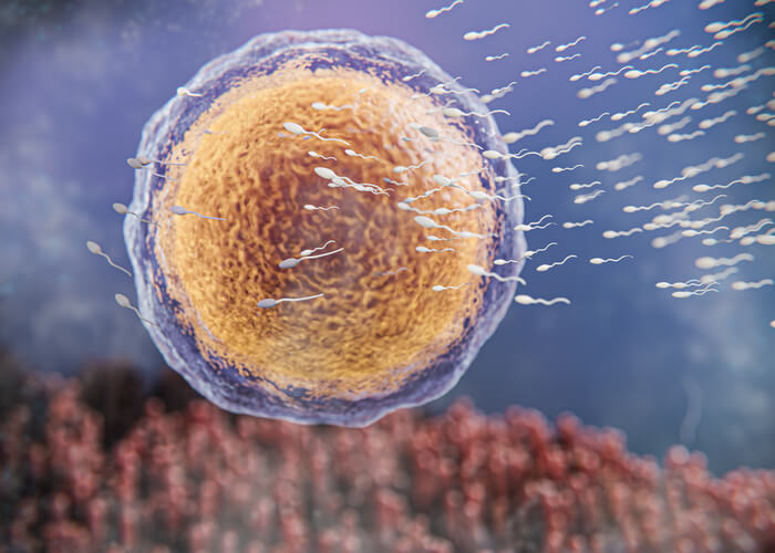 causes of low sperm count
