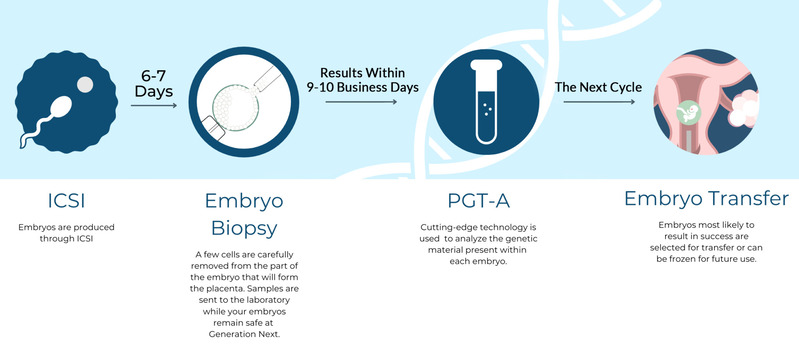 Diagram illustrating the process and technologies involved in Preimplantation Genetic Testing