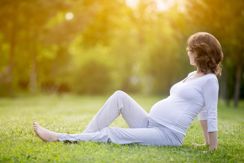 Stress-free recovery and rest after successful embryo transfer
