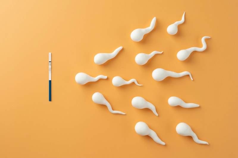 Sperm Abnormality Symptoms