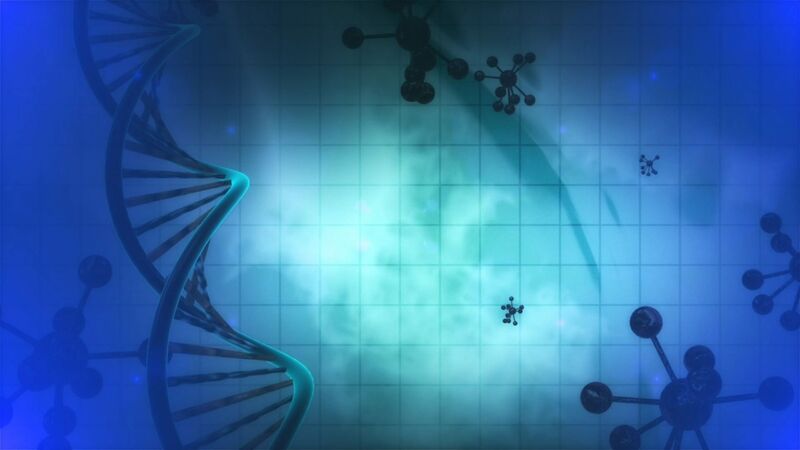 Impact of sperm DNA fragmentation fertility