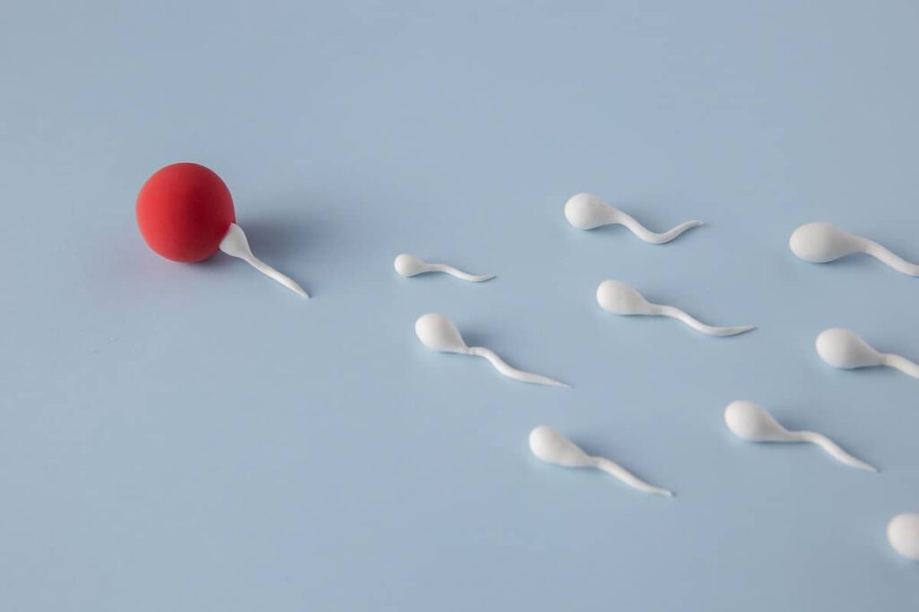 Malformed Sperm