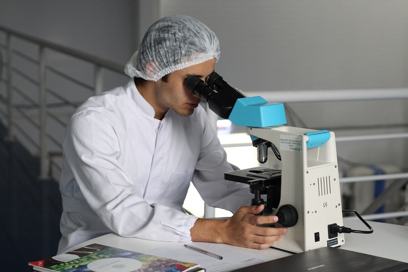 Comparing IVF grading system techniques