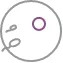 <a href="https://www.asianinfertility.com/icsi-intra-cytoplasmic-sperm-injection">ICSI <br>Treatment</a>
