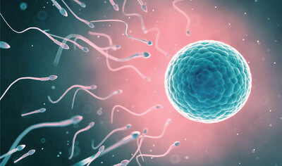 Male Infertility